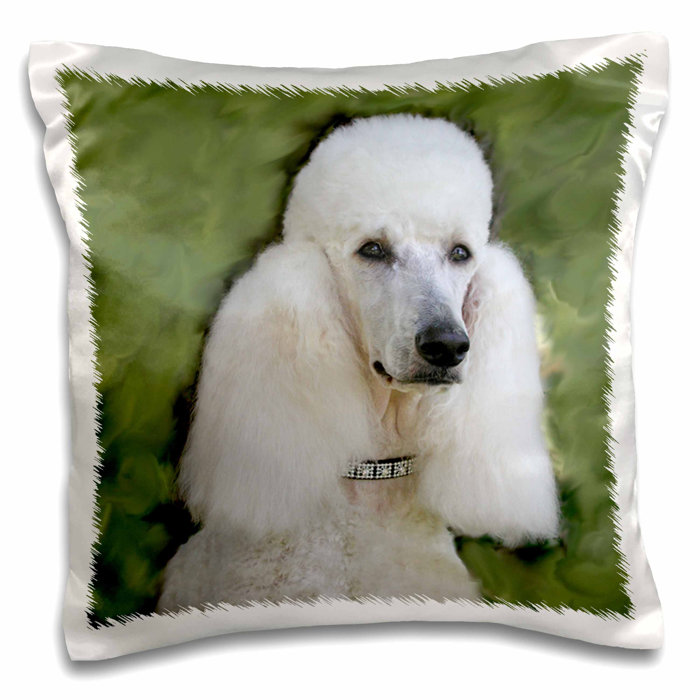 poodle throw pillows